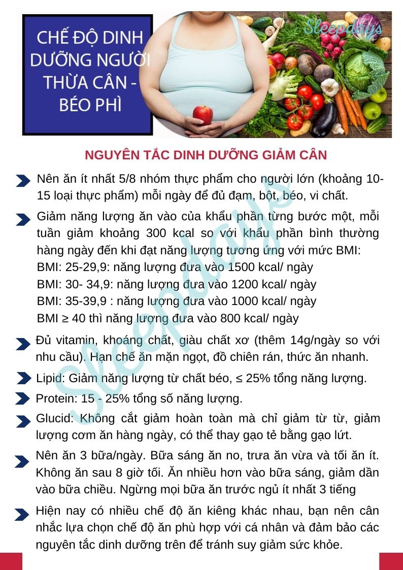 Dinh dưỡng cho người thừa cân