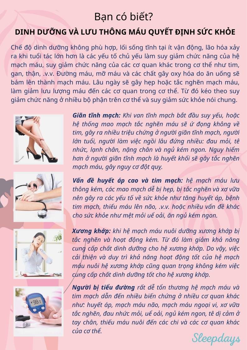 Dinh dưỡng và lưu thông máu quyết định sức khỏe