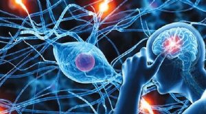 Sleepdays cải thiện rối loạn thần kinh thực vật