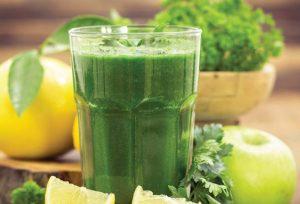 Uống diếp cá trị giãn tĩnh mạch có đúng không?